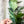 Load image into Gallery viewer, Light Green OklaRuler : 160mm Clear Ruler