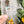 Load image into Gallery viewer, Removable Rectangle Strapzeez™ - Holographic Spiders