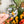 Load image into Gallery viewer, Removable Circle Strapzeez™ - Holographic Spiders