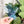Load image into Gallery viewer, Rounded Fancy Straps - Size 1.5" Webbing To 1" Hook - Ocean - Set of 3 - Acrylic Template