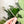 Load image into Gallery viewer, Scissors Drink Swizzle Stick - Frosted - Sold Individually
