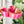 Load image into Gallery viewer, Tiered Large Mouse Shaped Craft Bowl - Cherry Limeade