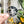 Load image into Gallery viewer, Removable Circle Strapzeez™ - Haunted Faces