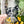 Load image into Gallery viewer, Removable Cat Head Strapzeez™ - Haunted Faces