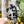 Load image into Gallery viewer, Removable Ghosty Strapzeez™ - Haunted Faces