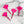 Load image into Gallery viewer, Bee - Magenta - Individual Acrylic Pattern and Craft Clip