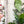 Load image into Gallery viewer, Hexies for Classic Boxy Bag - CutOuts - CLEAR - An Applique Template