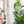 Load image into Gallery viewer, Bee Buddies for Classic Boxy Bag - CutOuts - SODA - An Applique Template
