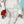 Load image into Gallery viewer, SQUARED Fancy Straps - Size 1" Webbing to 1/2" Hook - CLEAR - Set of 3 - Acrylic Template