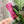 Load image into Gallery viewer, Rounded Fancy Straps - Size 1.5" Webbing To 1" Hook - Magenta - Set of 3 - Acrylic Template