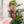 Load image into Gallery viewer, ROUNDED Fancy Straps - Size 1.5" Webbing To 1/2" Hook - PINK - Set of 3 - Acrylic Template