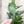 Load image into Gallery viewer, SQUARED Fancy Straps - Size 1.5" Webbing To 1/2" Hook - LIGHT GREEN - Set of 3 - Acrylic Template