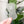 Load image into Gallery viewer, ROUNDED Fancy Straps - Size 1" Webbing to 1/2" Hook - FROST - Set of 3 - Acrylic Template