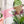 Load image into Gallery viewer, Solo Bee for Classic Boxy Bag - CutOuts - PINK - An Applique Template