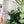Load image into Gallery viewer, Soft Corners Zipper Accent Template - Holographic - 3 Sizes Available