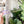 Load image into Gallery viewer, Hard Corners Zipper Accent Template - Holographic - 3 Sizes Available