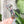 Load image into Gallery viewer, Open Center ROUNDED Fancy Straps - Size 1" Webbing To 1/2" Hook - LIMITED COLOR - Crushed Rainbow Foil - Set of 3 - Acrylic Template