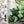 Load image into Gallery viewer, Ears Zipper Accent Template - Light Green - 3 Sizes Available