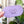 Load image into Gallery viewer, Craft Organizer - Chain - Purple Glimmer With Lilac Topper