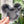 Load image into Gallery viewer, Tiered Large Mouse Shaped Craft Bowl - Onyx