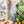 Load image into Gallery viewer, Ocean OklaRuler : 160mm Clear Ruler