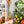 Load image into Gallery viewer, Clear OklaRuler : 160mm Clear Ruler