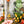 Load image into Gallery viewer, Soda OklaRuler : 160mm Clear Ruler