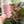 Load image into Gallery viewer, MEDIUM Magic Maker Quilt Block - Pink - Acrylic Template - Set of 7