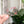 Load image into Gallery viewer, Removable Rectangle Strapzeez™ - Rose Gold Sprites