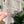 Load image into Gallery viewer, Removable Heart Strapzeez™ - Rose Gold Sprites