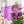 Load image into Gallery viewer, Mini Picnic Pouch / Purse Acrylic Template FULL PANEL ADD ON - PURPLE - Single Template
