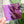 Load image into Gallery viewer, SMALL Magic Maker Quilt Block - Purple - Acrylic Template - Set of 7
