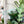 Load image into Gallery viewer, Hard Corners Zipper Accent Template - Light Green - 3 Sizes Available