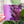 Load image into Gallery viewer, MEDIUM Magic Maker Quilt Block - Purple - Acrylic Template - Set of 7