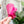 Load image into Gallery viewer, Rounded Fancy Straps - Size 1" - Magenta - Set of 3 - Acrylic Template
