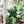 Load image into Gallery viewer, Bubble Zipper Accent Template - Light Green - 3 Sizes Available