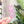Load image into Gallery viewer, Open Center SQUARED Fancy Straps - Size 1" Webbing To 1/2" Hook - LIMITED COLOR - Pink Foil - Set of 3 - Acrylic Template