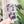 Load image into Gallery viewer, Open Center SQUARED Fancy Straps - Size 1" Webbing To 1/2" Hook - LIMITED COLOR - Glitter Bats - Set of 3 - Acrylic Template