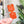 Load image into Gallery viewer, Open Center SQUARED Fancy Straps - Size 1" Webbing To 1/2" Hook - LIMITED COLOR - Full Glitter Pumpkin - Set of 3 - Acrylic Template