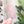 Load image into Gallery viewer, Open Center SQUARED Fancy Straps - Size 1" Webbing To 1/2" Hook - LIMITED COLOR - Bubble Textured Pink - Set of 3 - Acrylic Template