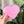 Load image into Gallery viewer, Tiered Large Heart Shaped Craft Bowl - Hot Pink