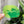 Load image into Gallery viewer, 1-2-3-4 HALVES Inch Rounded Corners - Neon Green - Acrylic Template