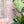 Load image into Gallery viewer, Removable Ghosty Strapzeez™ - Bubble Textured Pink