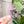 Load image into Gallery viewer, Removable Skull Strapzeez™ - Pink Foil