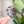 Load image into Gallery viewer, Removable Skull Strapzeez™ - Glitter Bats