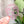 Load image into Gallery viewer, Removable Skull Strapzeez™ - Bubble Textured Pink