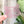 Load image into Gallery viewer, Removable Cat Head Strapzeez™ - Bubble Textured Pink