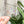 Load image into Gallery viewer, Removable Bubble Star Strapzeez™ - Party Confetti