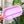 Load image into Gallery viewer, Craft Organizer - Rods - Pink Gem