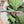 Load image into Gallery viewer, OklaRoots® Rainbow Corner Turning Wand